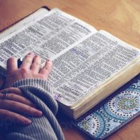 Woman reading the bible on the table